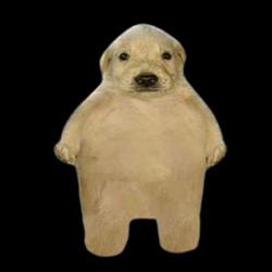 dogchonk