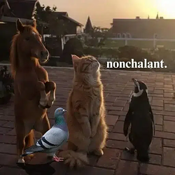 Nonchalant / SOL
