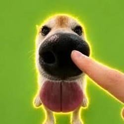 boop / SOL