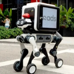 r-dog