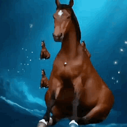 SHORSE