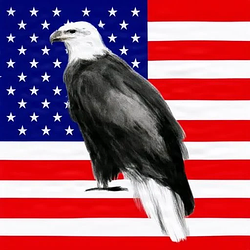 AMERICA