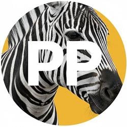 PP