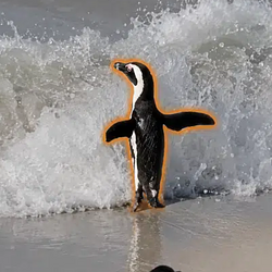 FATIPENGU / SOL