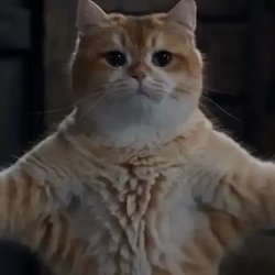 CATSLOP