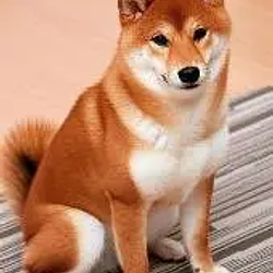 Yoru
