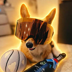 AirCorgi / SOL