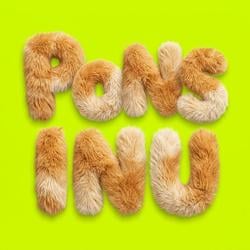 INU