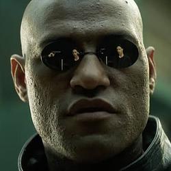 Matrix
