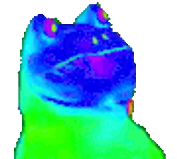 PVE