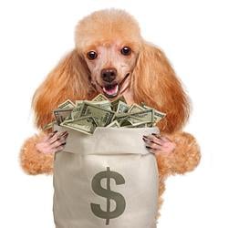 DOGCASH