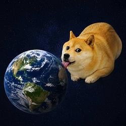 lickingdog
