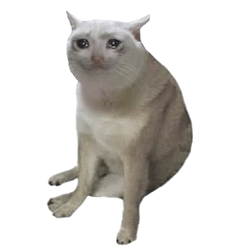 CATCUP / WETH 0.25%