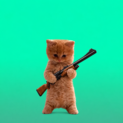 PUMPCAT