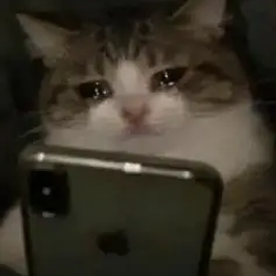 sobcat