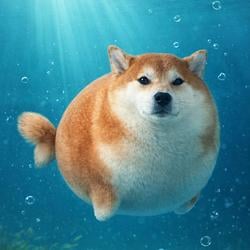 INUFISH