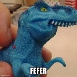 fefer / SOL