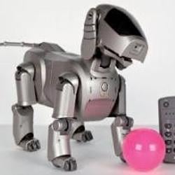 AIBO
