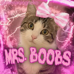 BOOBS / SOL
