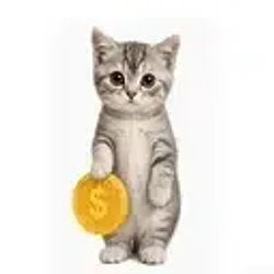 Kitty / SOL