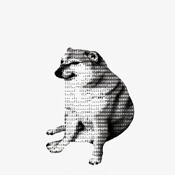 cashdog