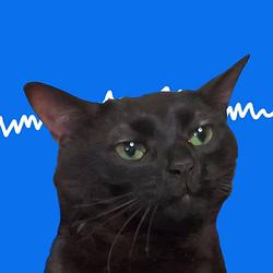Stablecat