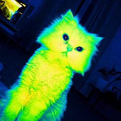 QCAT