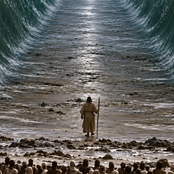 Moses / SOL
