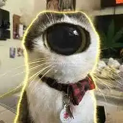 Cyclops / SOL