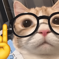 Kitty