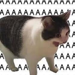 AAAAAAAAAAA / BNB