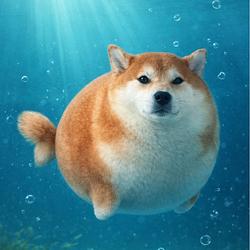 PuffInu