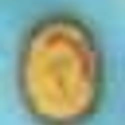 TESLA COIN