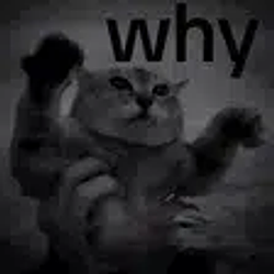 whycat