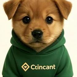 puoDOGE / BNB