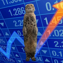 Cat.