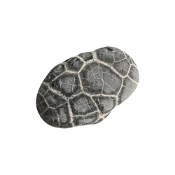 ROCK / SOL