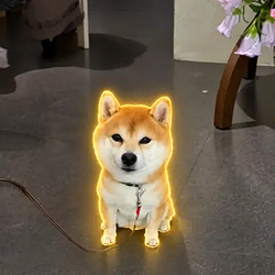 ᴸᴼᴷᴵ