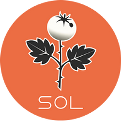 SOL