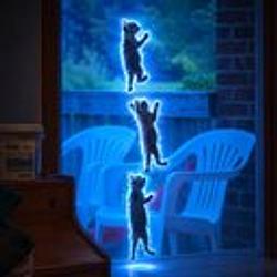 Impawssible / SOL