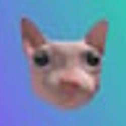 Bingus