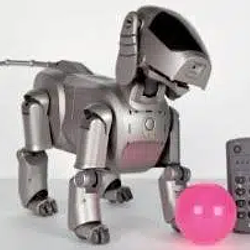 MICRODOG