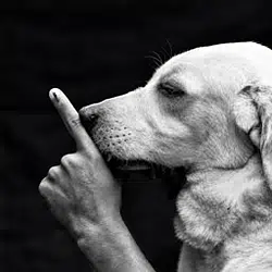 shh