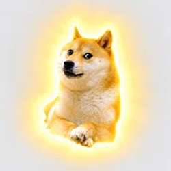 WR.DOG