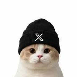 XCAT / SOL