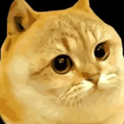 Catge