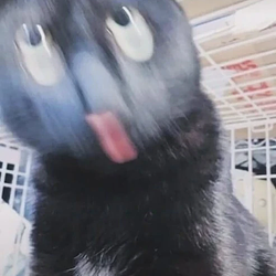 Cet