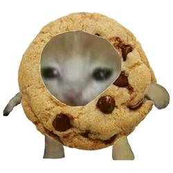 cookie
