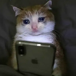 SADCAT / SOL