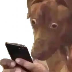 $SUPDOG / SOL